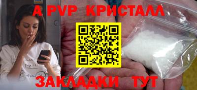 стафф Донской