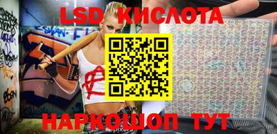 стафф Донской