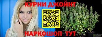 гашик Донецк