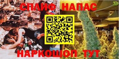 стафф Донской