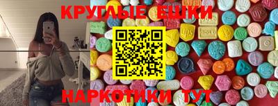 стафф Донской