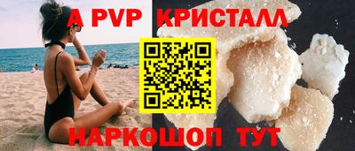 стафф Донской