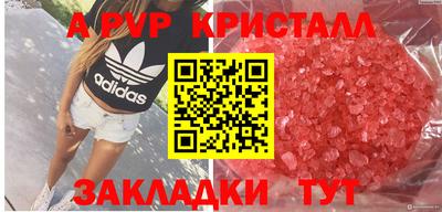 гашик Донецк