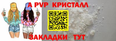 стафф Донской