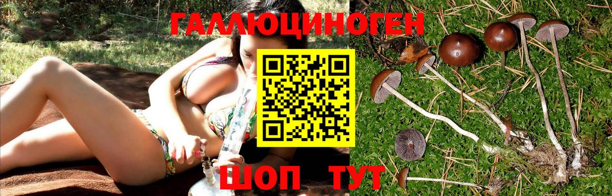 Галлюциногенные грибы мицелий  Вход с VPN  Псилоцибиновые грибы мицелий  Кулебаки 