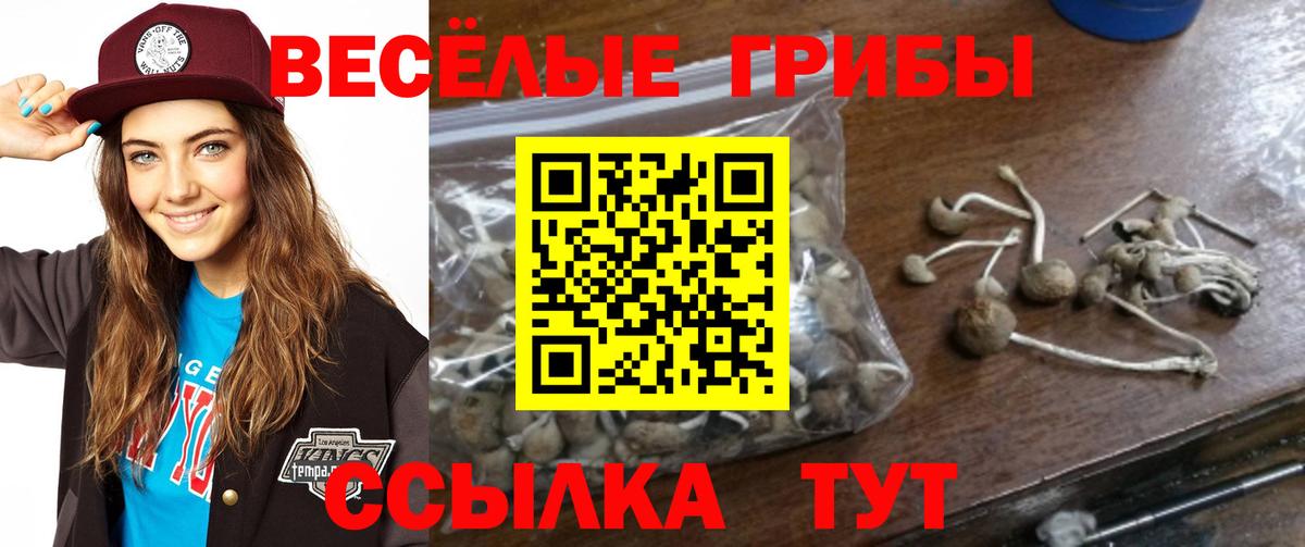 Кулебаки  ГАШИШ  МАРИХУАНА  А ПВП СОЛЬ кристаллы  Вход с VPN  Меф МЯУ МЯУ  